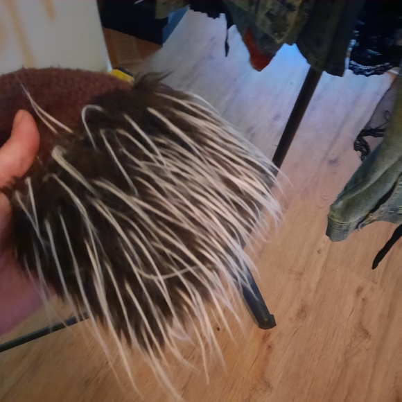 Twiggy - Picture 3 of 4